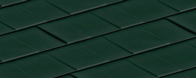 Alpine Evergreen