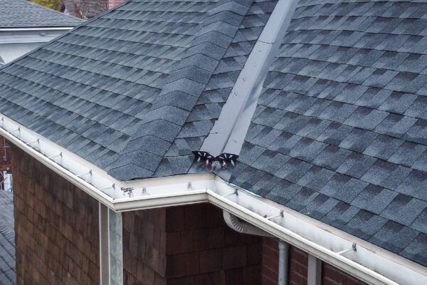 HAMPTON.00_00_23_10.Still027